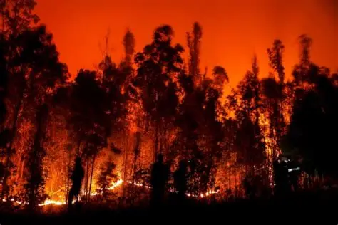 Fogos em Portugal, Ferreira do Alentejo online, ferreiraalentejo.com